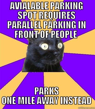 AVIALABLE PARKING SPOT REQUIRES PARALLEL PARKING IN FRONT OF PEOPLE  PARKS ONE MILE AWAY INSTEAD Misc