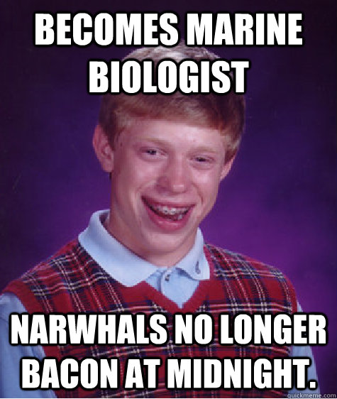 becomes marine biologist narwhals no longer bacon at midnight.  Bad Luck Brian