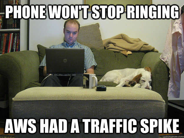 phone won't stop ringing aws had a traffic spike  Freelancer Fred