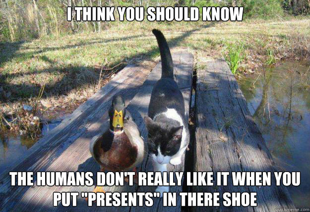 i think you should know the humans don't really like it when you put 