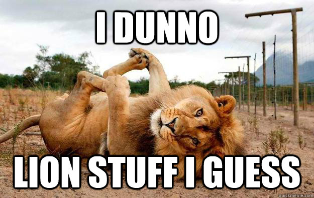 I dunno Lion stuff I guess - I dunno Lion stuff I guess  Misc