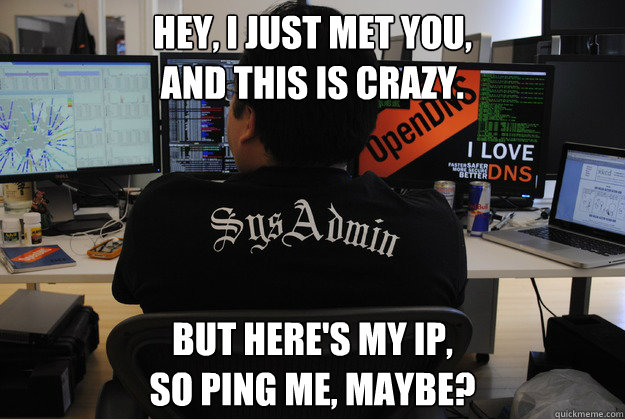 Hey, I just met you,
And this is crazy.
 But here's my IP,
So ping me, maybe? - Hey, I just met you,
And this is crazy.
 But here's my IP,
So ping me, maybe?  Success SysAdmin