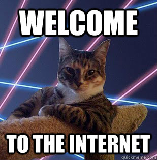 Welcome to the internet - Welcome to the internet  Welcome internet cat