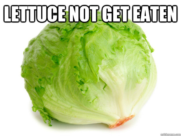 Lettuce not get eaten   lettuce fuck