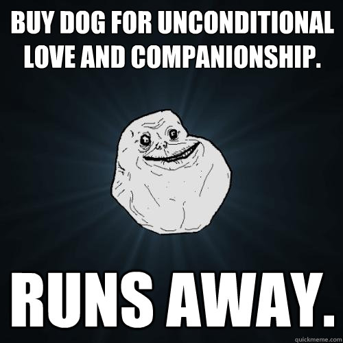 Buy dog for unconditional love and companionship. RUNS AWAY.  Forever Alone