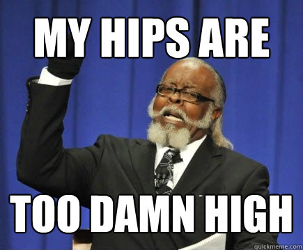 my hips are too damn high  Too Damn High