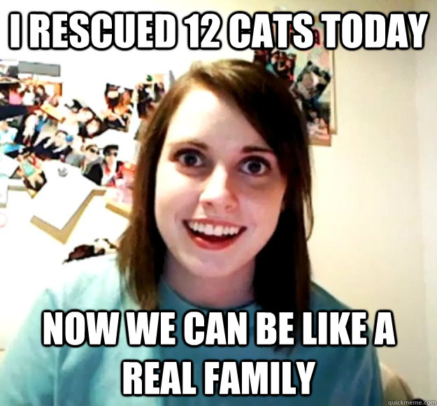 I rescued 12 cats today Now we can be like a real family  Overly Attached Girlfriend