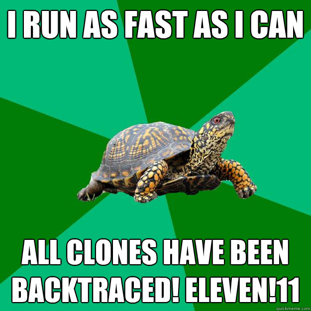 I run as fast as i can All clones have been backtraced! eleven!11  Torrenting Turtle