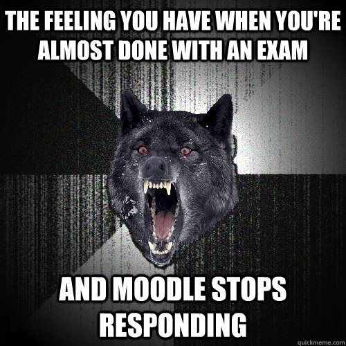 The feeling you have when you're almost done with an exam and moodle stops responding  Insanity Wolf