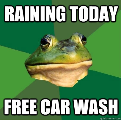 Raining today Free car wash  Foul Bachelor Frog