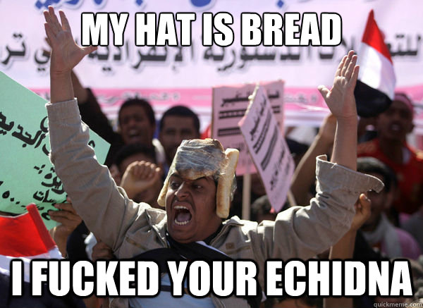 My Hat is Bread
 I FUCKed YOUr echidna  Bread Hat