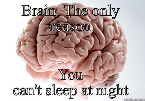 BRAIN, THE ONLY REASON YOU CAN'T SLEEP AT NIGHT Scumbag Brain