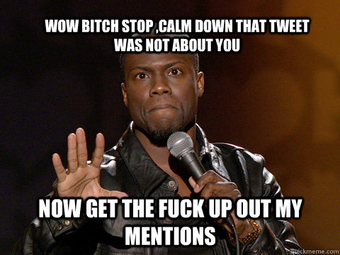 wow bitch stop ,calm down that tweet was not about you now get the fuck up out my mentions - wow bitch stop ,calm down that tweet was not about you now get the fuck up out my mentions  kevin hart twitter account