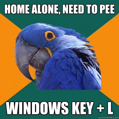 Home alone, need to pee WINDOWS KEY + L  Paranoid Parrot