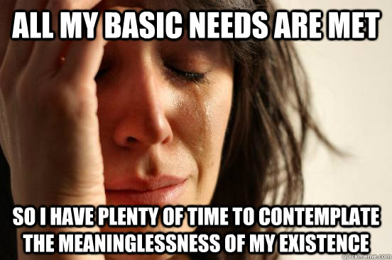 All my basic needs are met So I have plenty of time to contemplate the meaninglessness of my existence  First World Problems