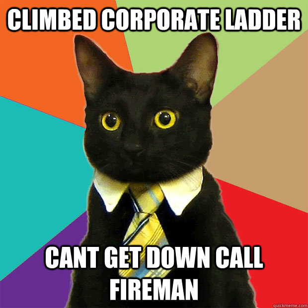 Climbed corporate ladder  cant get down call fireman - Climbed corporate ladder  cant get down call fireman  Business Cat
