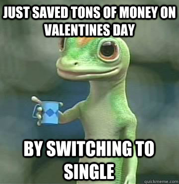 Just saved tons of money on Valentines Day  By switching to Single - Just saved tons of money on Valentines Day  By switching to Single  Geico