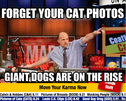 forget your cat photos  giant dogs are on the rise   Mad Karma with Jim Cramer