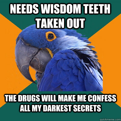 needs wisdom teeth taken out the drugs will make me confess all my darkest secrets  Paranoid Parrot