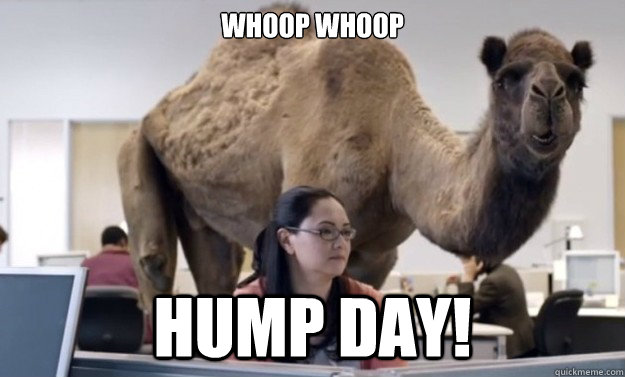 Whoop Whoop Hump Day!  