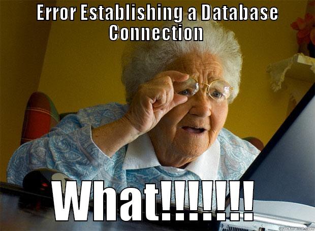  ERROR ESTABLISHING A DATABASE CONNECTION WHAT!!!!!!! Grandma finds the Internet
