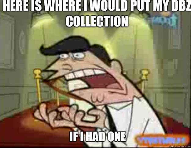 Here is where I would put my DBZ collection IF I HAD ONE - Here is where I would put my DBZ collection IF I HAD ONE  Fairly Odd Parents