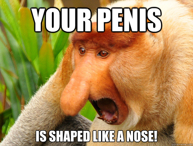 Your penis is shaped like a nose! - Your penis is shaped like a nose!  Astonished Proboscis Monkey