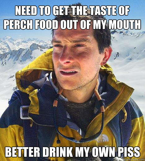 Need to get the taste of perch food out of my mouth better drink my own piss  Bear Grylls