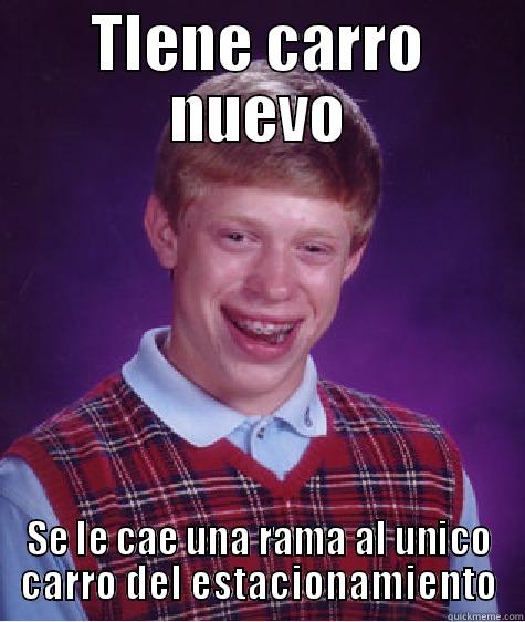 TIENE CARRO NUEVO SE LE CAE UNA RAMA AL UNICO CARRO DEL ESTACIONAMIENTO Bad Luck Brian