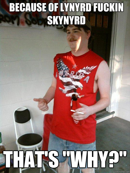 Because of Lynyrd fuckin Skynyrd That's 