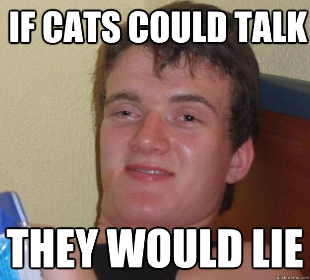 if cats could talk they would lie  - if cats could talk they would lie   10 Guy