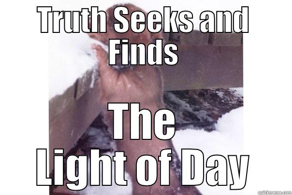 TRUTH SEEKS AND FINDS THE LIGHT OF DAY First World Problems Cat