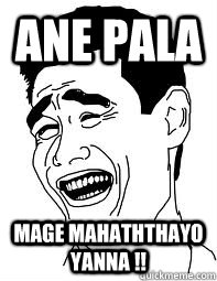 Ane pala Mage mahaththayo yanna !!  Bitch please