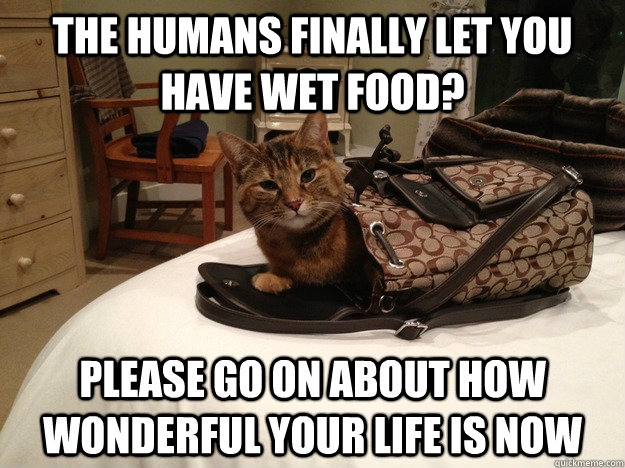 The humans finally let you have wet food? please go on about how wonderful your life is now - The humans finally let you have wet food? please go on about how wonderful your life is now  Condescending Aristocat