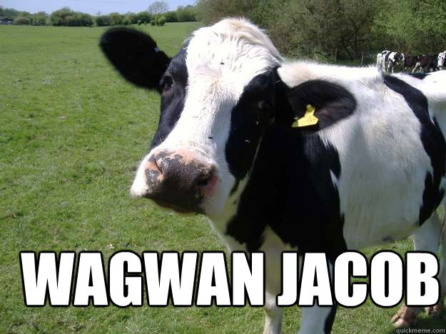 wagwan jacob   Whatcowwhat