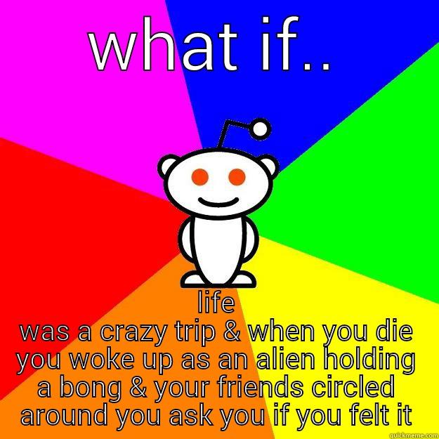 the meaning of life solved - WHAT IF.. LIFE WAS A CRAZY TRIP & WHEN YOU DIE YOU WOKE UP AS AN ALIEN HOLDING A BONG & YOUR FRIENDS CIRCLED AROUND YOU ASK YOU IF YOU FELT IT Reddit Alien