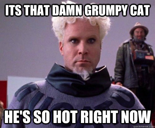 Its that damn grumpy cat He's SO HOT RIGHT NOW  Mugatuism