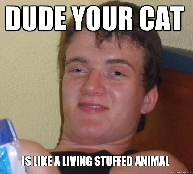  dude y0ur cat is like a living stuffed animal  10 Guy