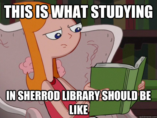 This is what studying In sherrod library should be like  
