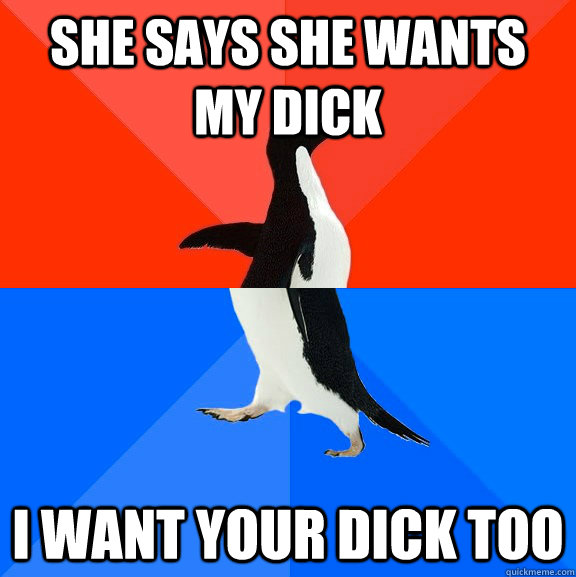 She says she wants my dick I want your dick too  Socially Awesome Awkward Penguin