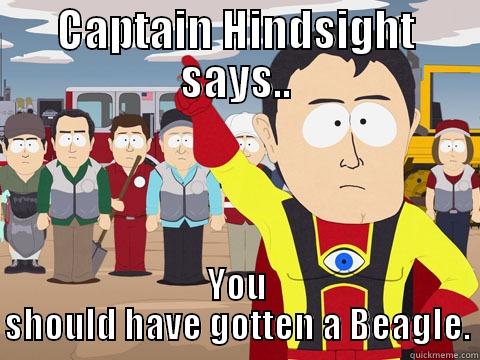 CAPTAIN HINDSIGHT SAYS.. YOU SHOULD HAVE GOTTEN A BEAGLE. Captain Hindsight