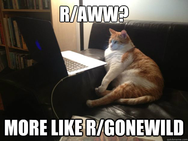 R/aww? More like r/gonewild  vicarious cat