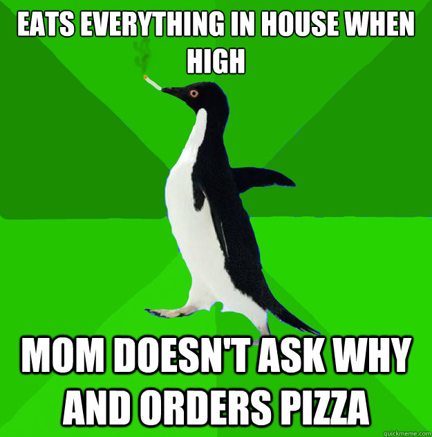 Eats everything in house when high mom doesn't ask why and orders pizza  Stoner Penguin