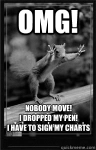 OMG! Nobody move!
I dropped my pen!
I have to sign my charts  Squirrel