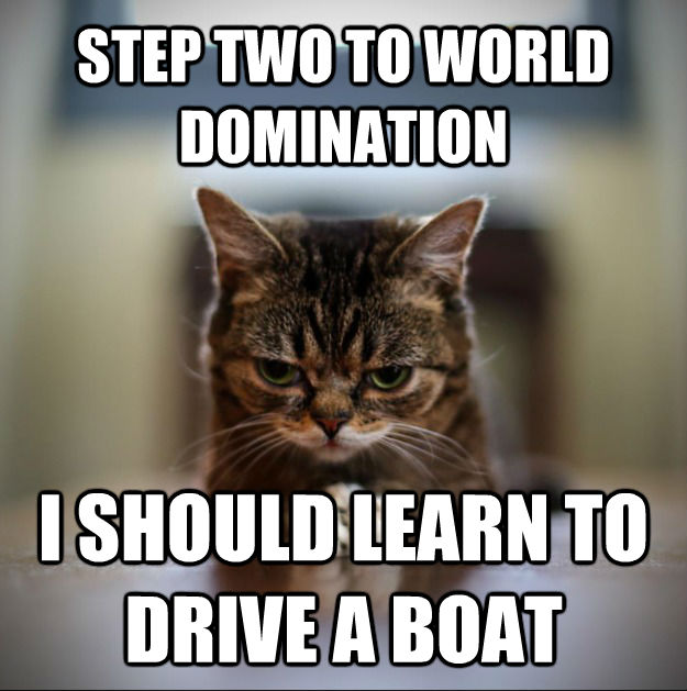 STEP TWO TO WORLD DOMINATION I SHOULD LEARN TO DRIVE A BOAT - STEP TWO TO WORLD DOMINATION I SHOULD LEARN TO DRIVE A BOAT  World Domination Kitty