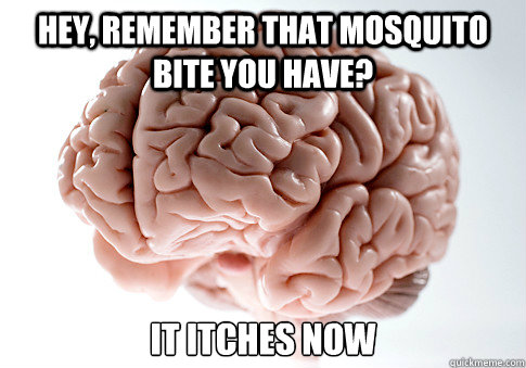 Hey, Remember that mosquito bite you have? It itches now  Scumbag Brain