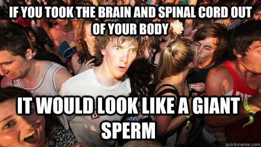 If you took the brain and spinal cord out of your body it would look like a giant sperm  Sudden Clarity Clarence