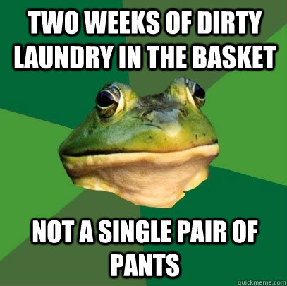 Two weeks of dirty laundry in the basket Not a single pair of pants  Foul Bachelor Frog