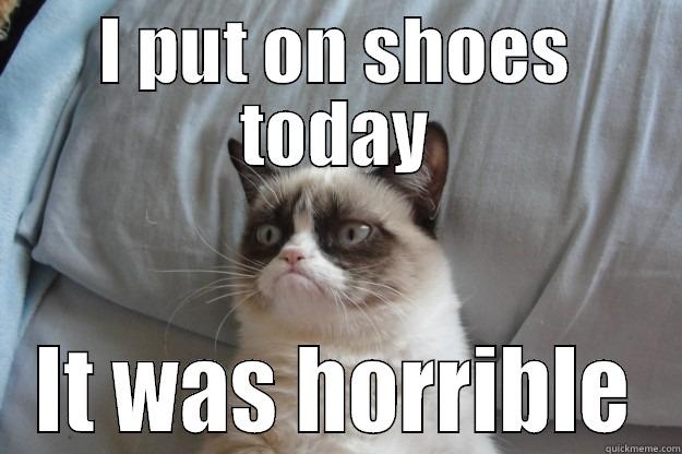 shoes grumpy lol - I PUT ON SHOES TODAY IT WAS HORRIBLE Grumpy Cat