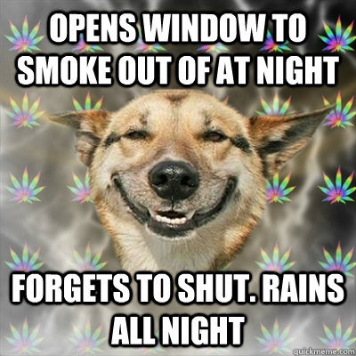 opens window to smoke out of at night forgets to shut. rains all night  Stoner Dog